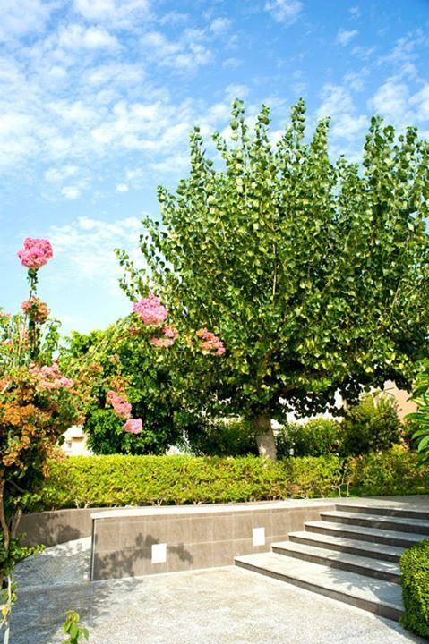 Alfa Hotel Apartments Gerani  Extérieur photo
